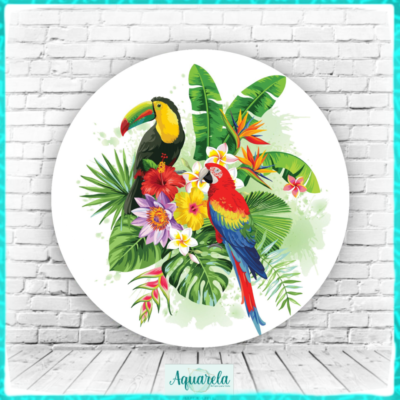 passaros tropical